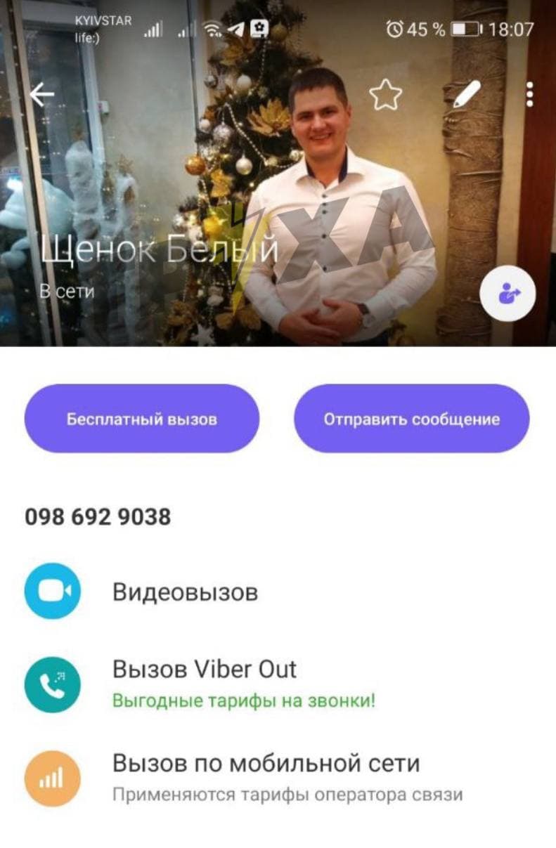 В Україні з'явився новий вид шахрайства, пов'язаний з тваринами: як працює схема